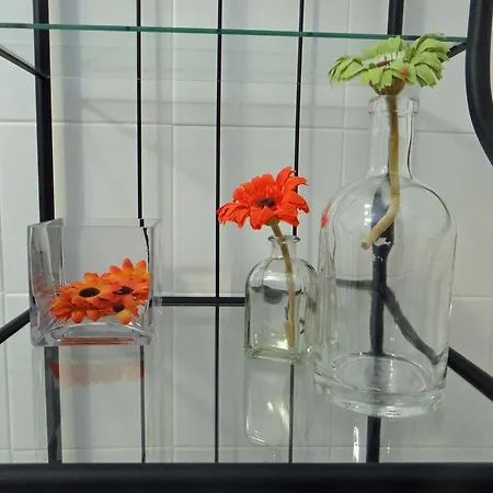 Alegria Apartment Porto Downtown Apartment