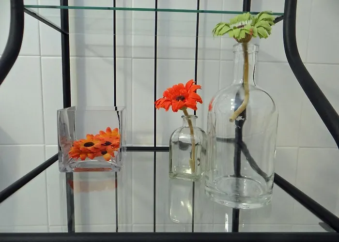 Alegria Downtown Apartament